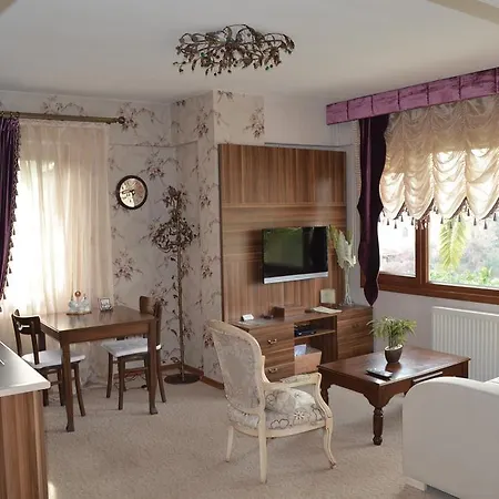 帕尔拉韦恩斯套房酒店 3*