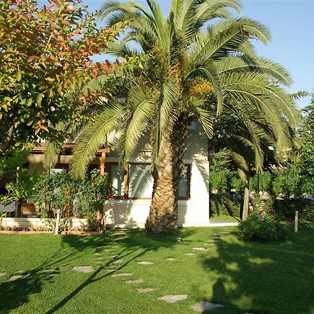 帕尔拉韦恩斯套房酒店 酒店 3*