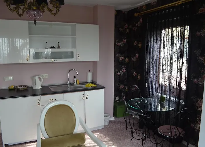 Parla Viens Hotel Gebze